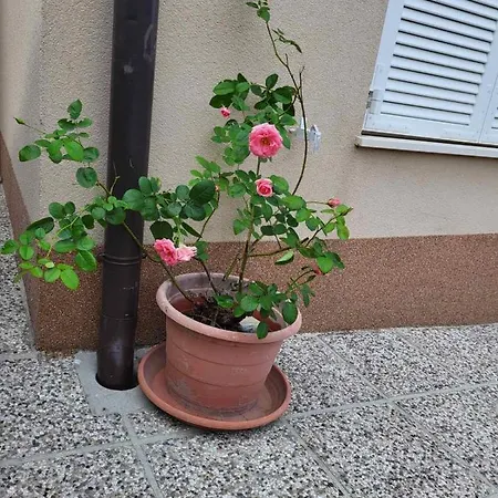 Mirjana 아파트 피란