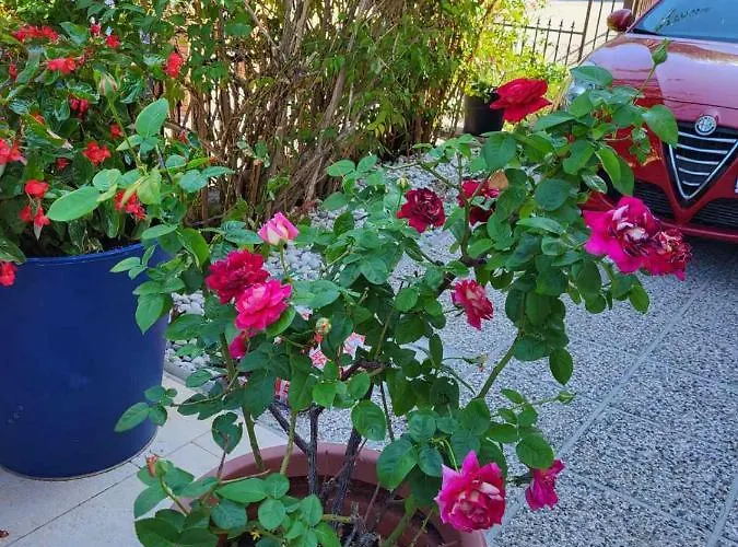 Appartement Mirjana Piran